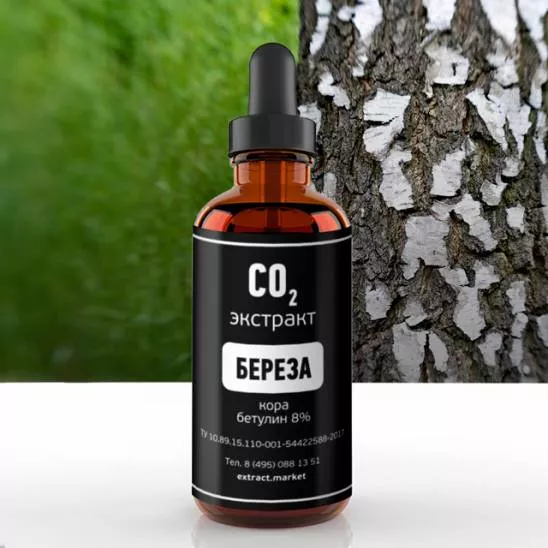 СО2 экстракт березы (кора) (бетулин 8%) (лат. Betula рubescens)