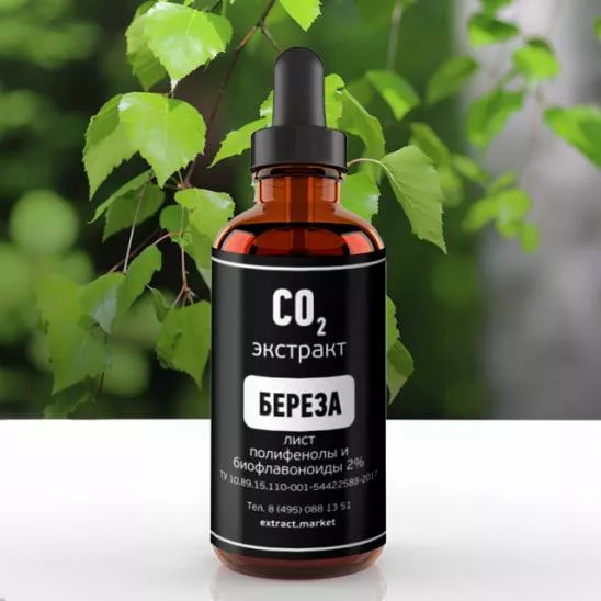СО2 экстракт березы (лист) (полифенолы и биофлавоноиды 2% ) (лат. Betula рubescens)