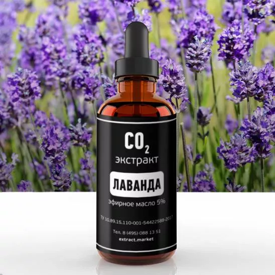 СО2 экстракт лаванды (эфирное масло 5%) (лат. Lavandula officinalis)