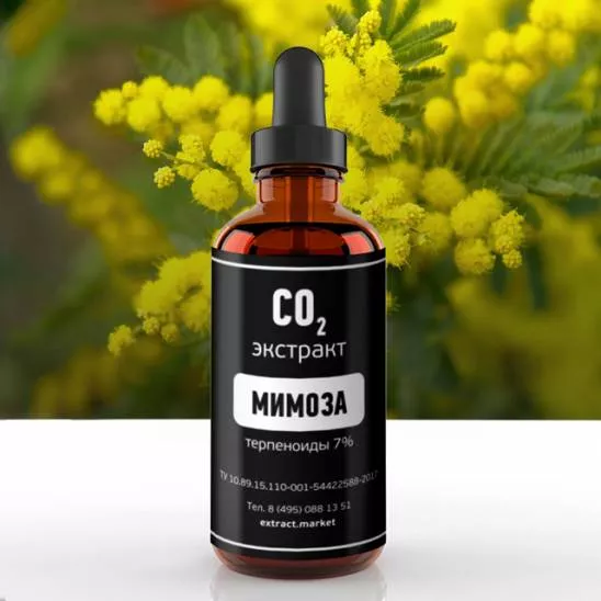 СО2 экстракт мимозы (терпеноиды 7%) (лат. Mimosa pudica)