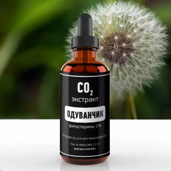 СО2 экстракт одуванчика (фитостерины 1%) (лат. Taraxacum officinale)