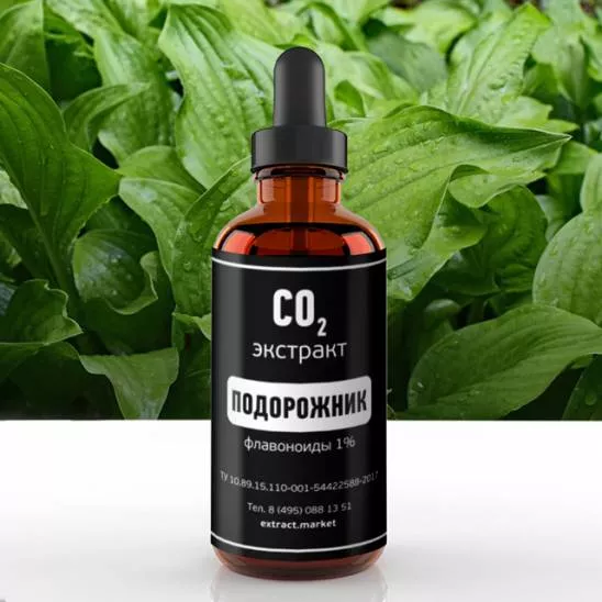 СО2 экстракт подорожника (флавоноиды 1%) (лат. Plantago major)