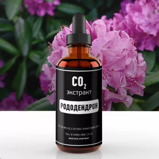 СО2 экстракт рододендрона (лат. Rhododеndron)