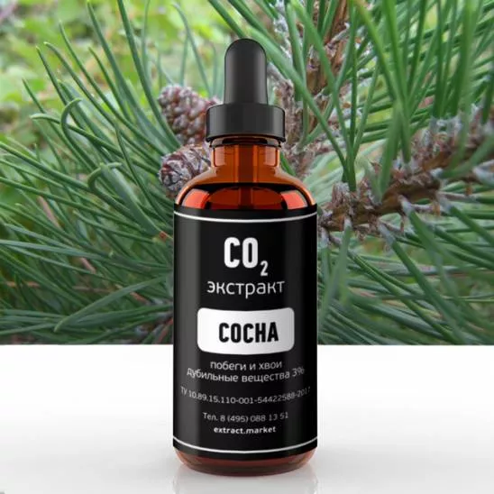 СО2 экстракт сосны (побеги и хвои) (дубильные вещества 3%) (лат. Pinus sylvestris L.)