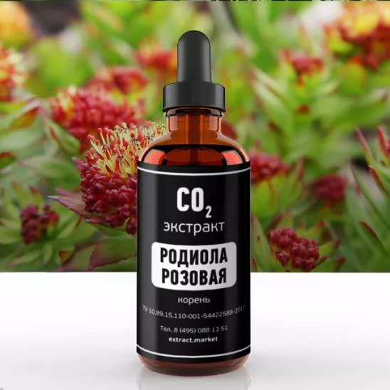 СО2 экстракт родиолы розовой (корень) (лат. Rhodiola rosea)