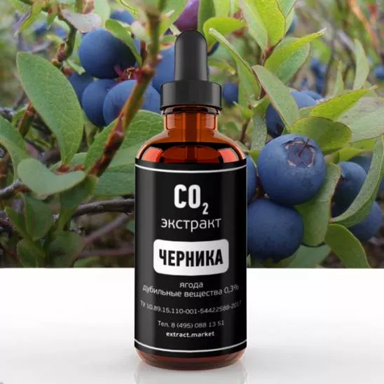 СО2 экстракт черники (ягода) (дубильные вещества 0,3%) (лат. Vaccinium myrtillus)