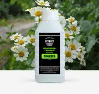 Ромашка - лечебные свойства и применение