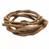 Лимонник (лиана)