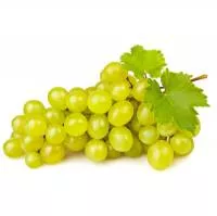 /handbook/raw/vinograd/