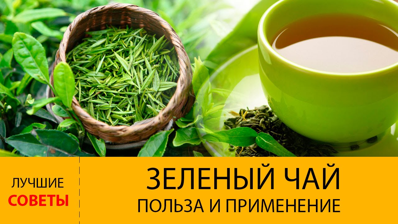 польза и применение