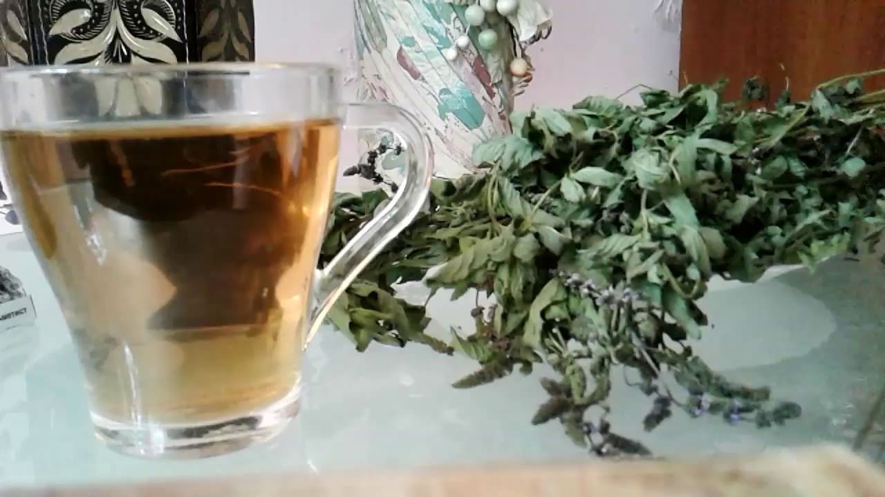 лечение мятой
